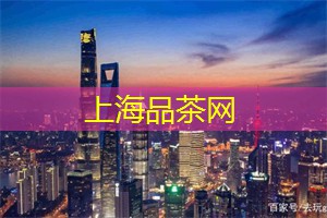 上海419论坛：上海茶庄的品牌活动与策划分享