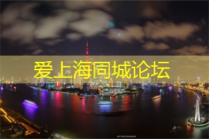 爱上海官网：上海的夜景与雕塑艺术的结合